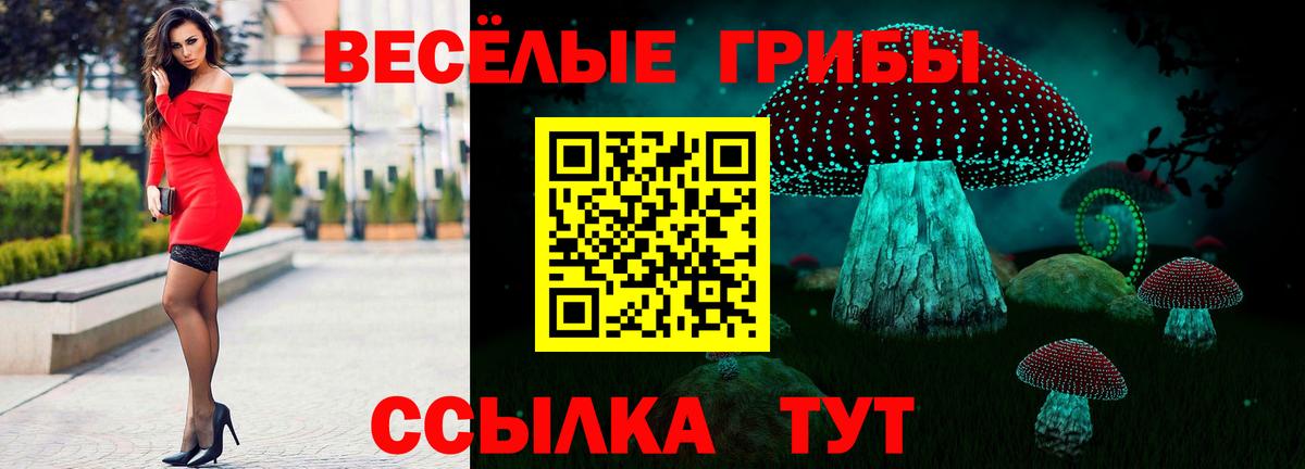 Вязники  Галлюциногенные грибы Psilocybe  Вход с VPN 